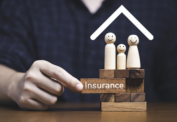 이재명표 실손보험 개혁