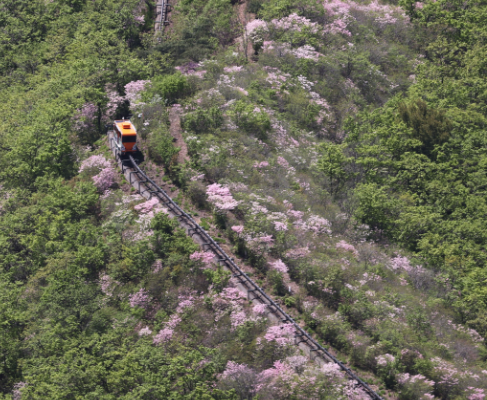 함양대봉산휴양밸리 모노레일