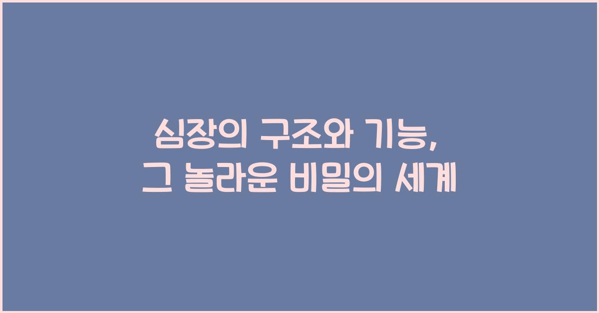 심장의 구조와 기능