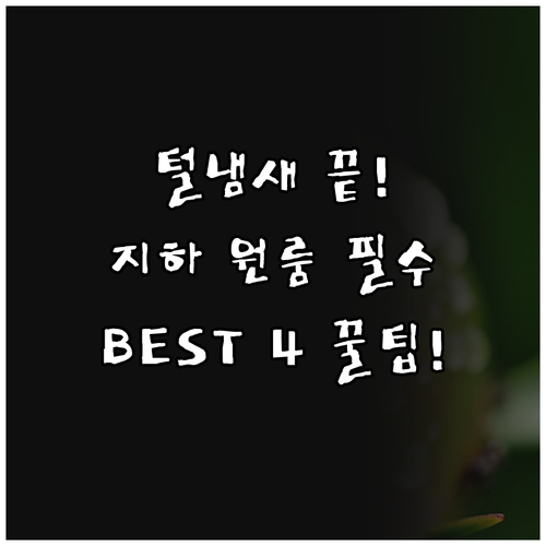 반려동물 털 냄새 원룸 지하 공간 공..