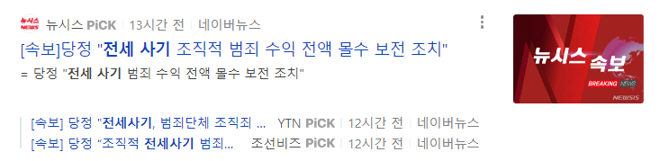 전세사기 조직적 범죄 수익 전액몰수 보전조치