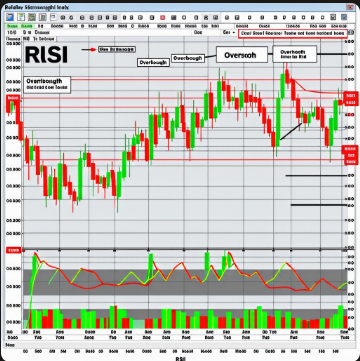 RSI 지표 보는법 계산기