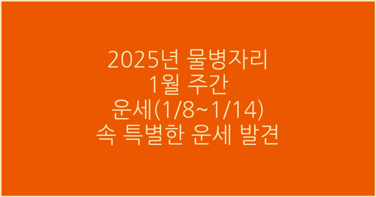 2025년 물병자리 1월 주간 운세(1/8~1/14)