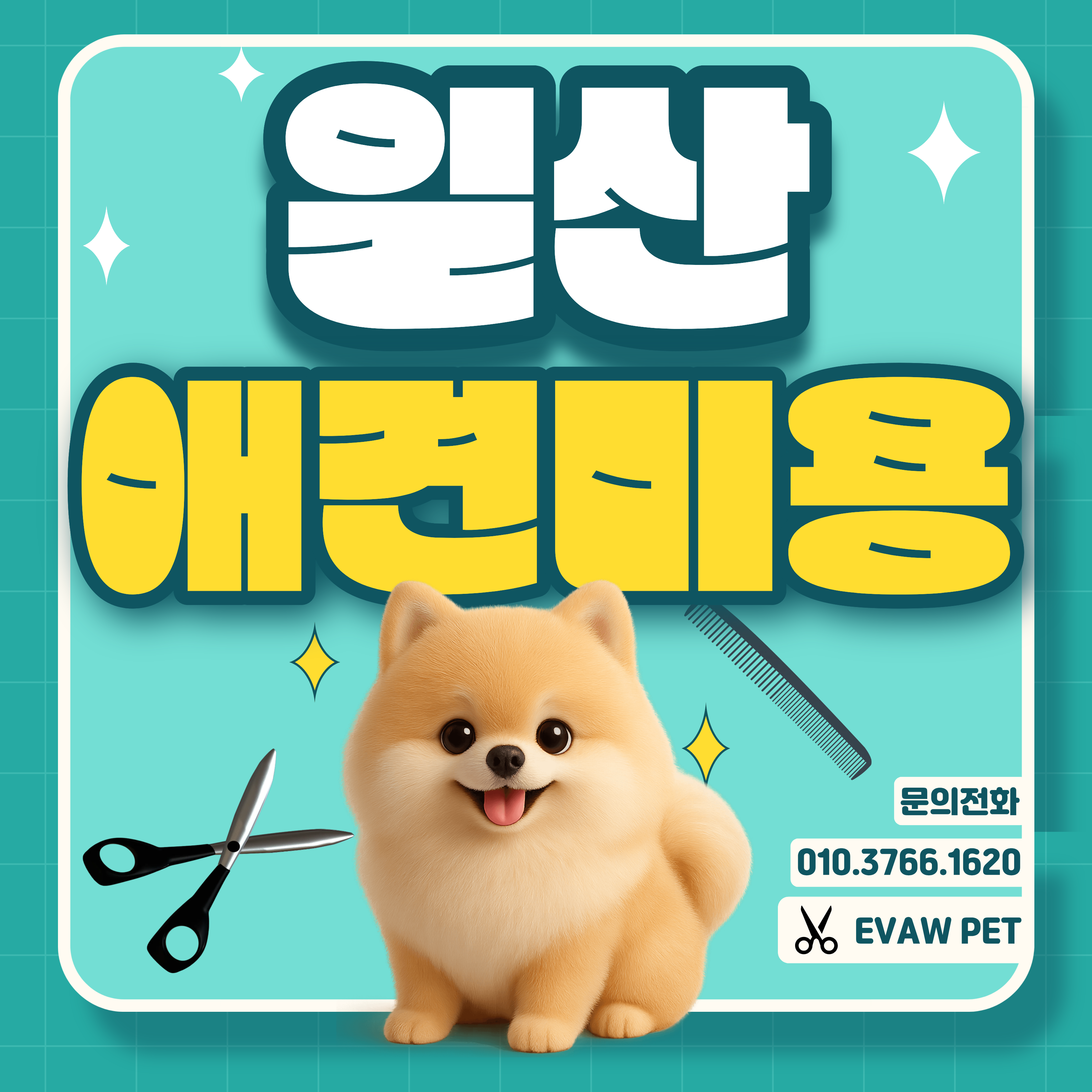 일산강아지미용학원