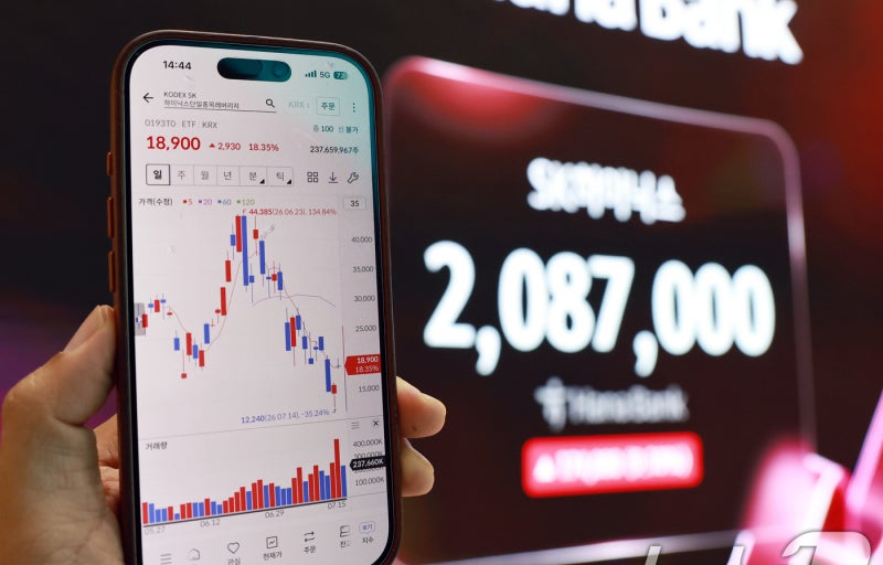 단일종목 ETP 손실 6.3조, 40대 손실 규모 최대&middot;70대 계좌당 손실 가장 커 참고 이미지 2