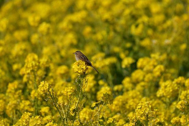 여권 신청후언제나오나요