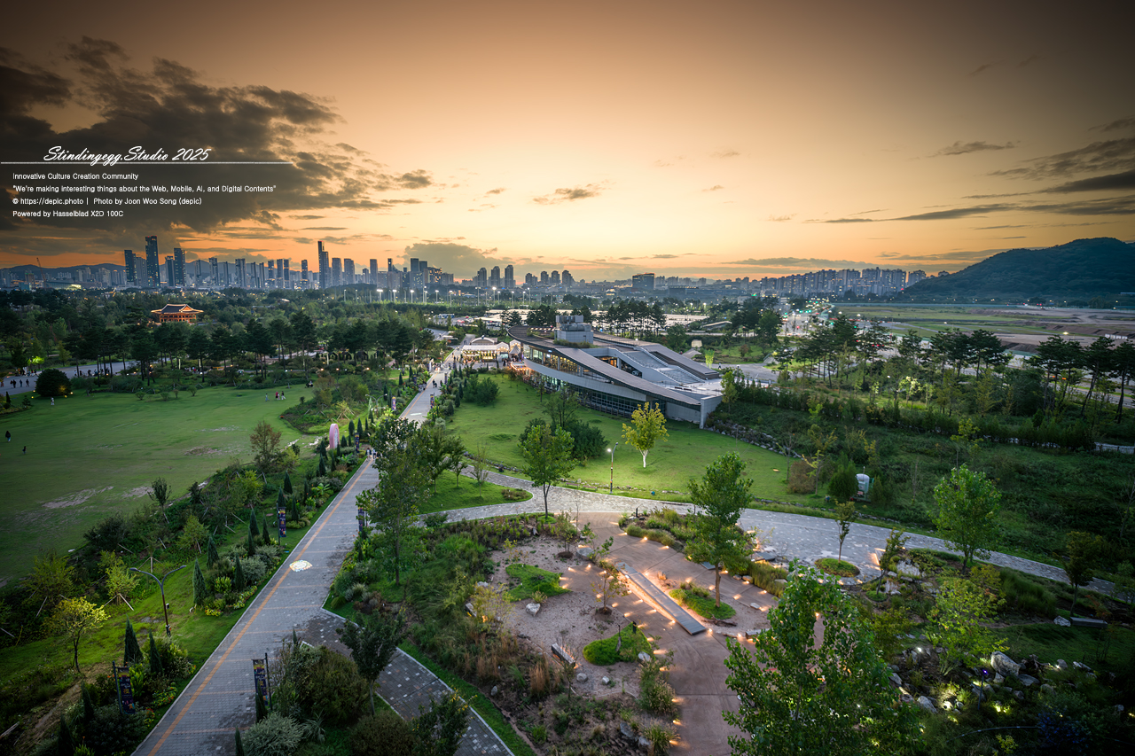 #세종 #세종수목원 #전망대 #야경