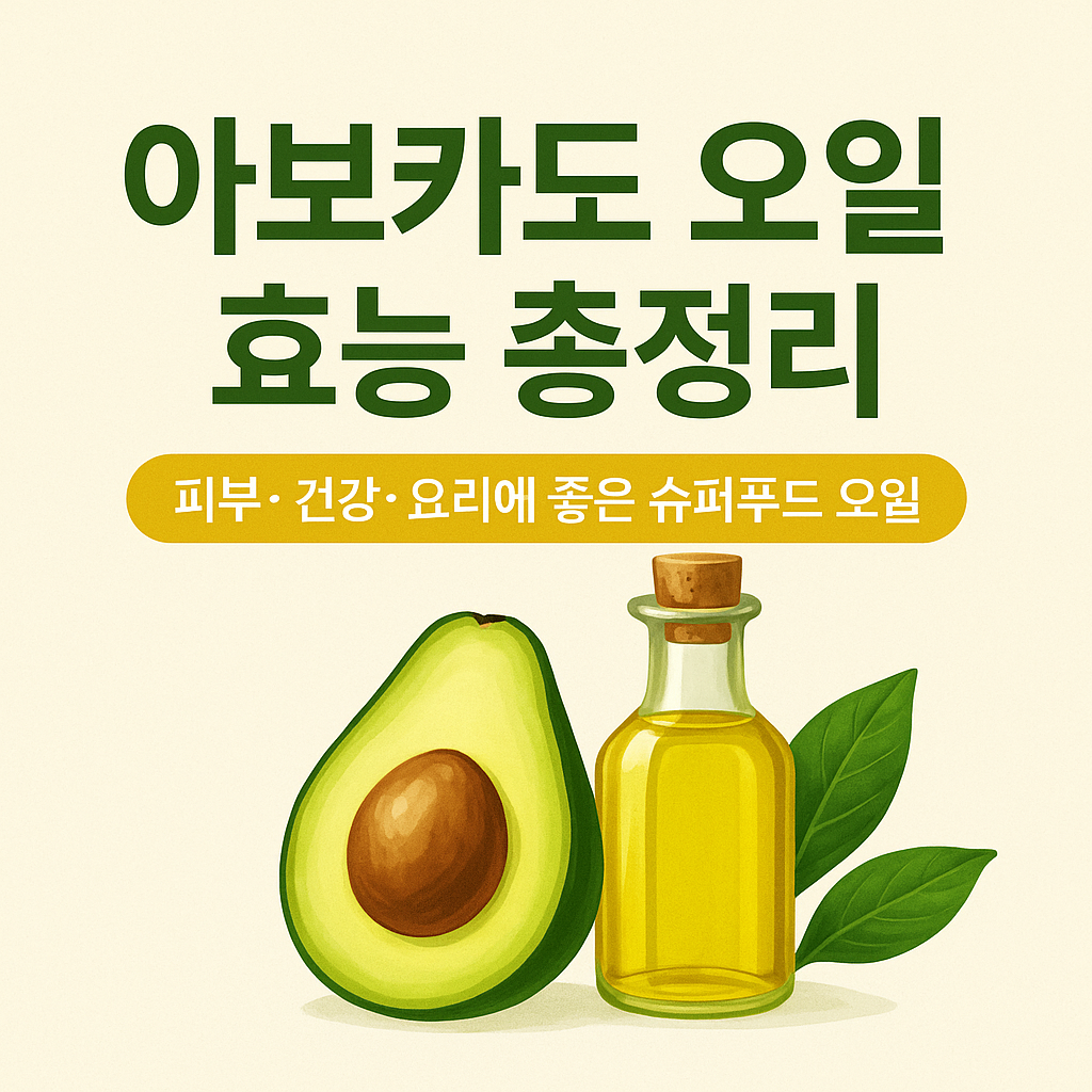 아보카도 오일 효능 총정리 피부 건강 요리 활용법