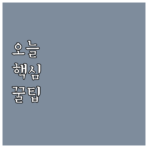 영등포구 2025 국가보훈대상자 지원..