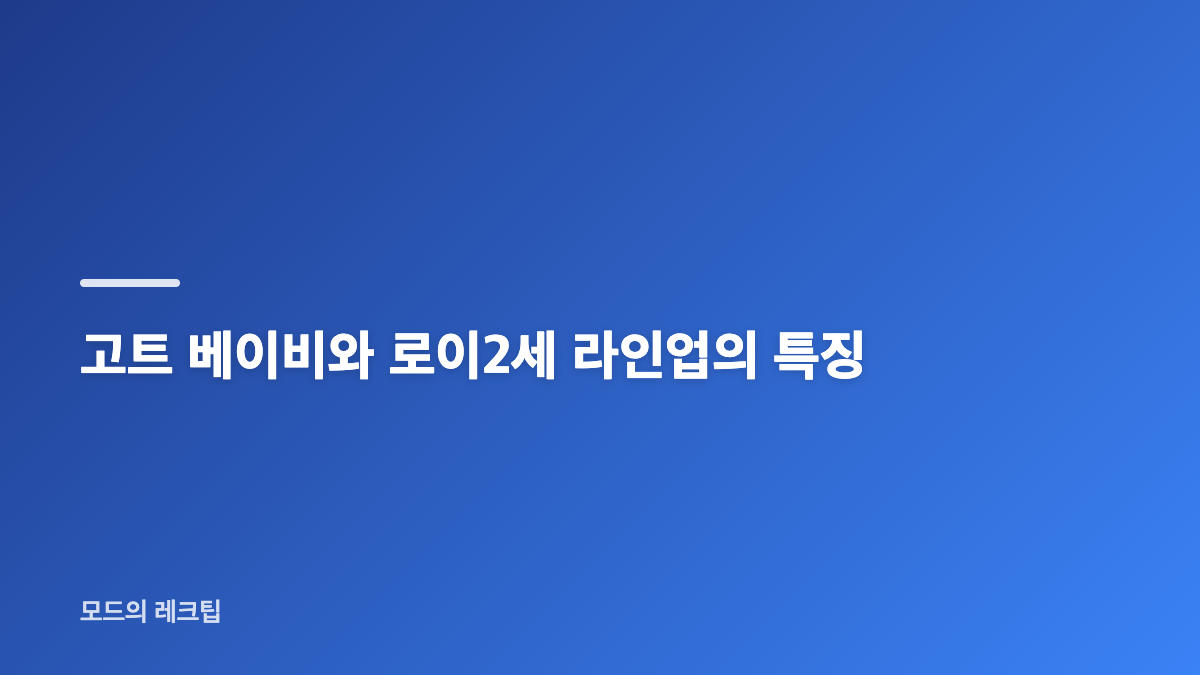 대전 펠리체게코 매장 환경과 관리 상태