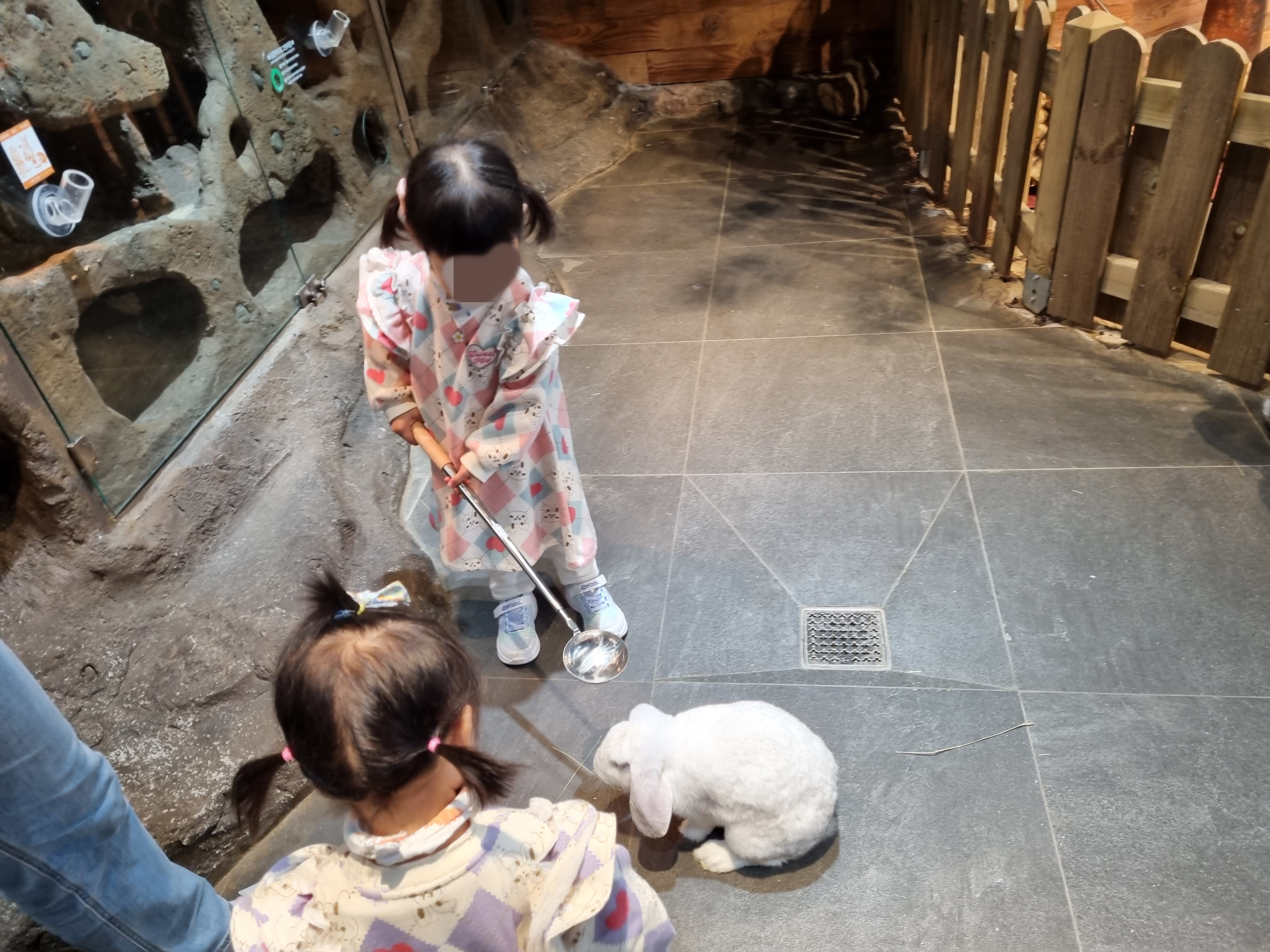 토끼 먹이주기 체험