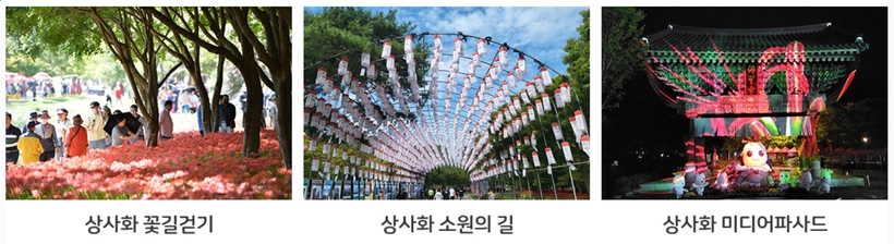 상사화축제-행사