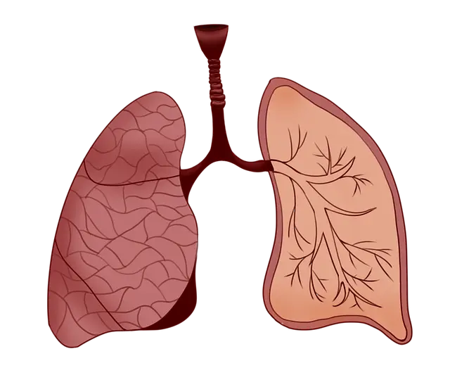 폐기흉 원인 증상 치료법