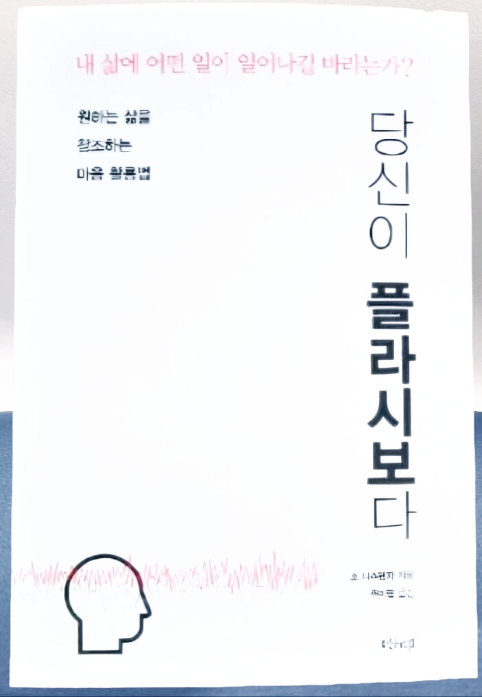 당신이 플라시보다 책 표지