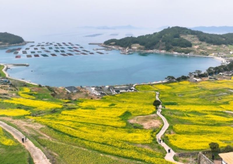 혼잡 피해 떠나는 한적한 국내 여행-완도 청산도