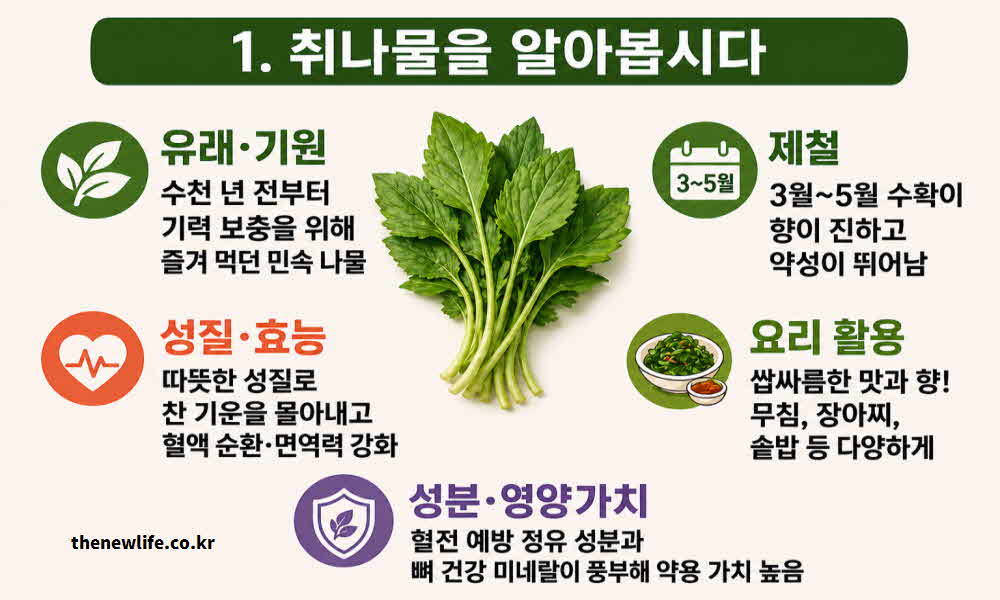 취나물 효능 유래 기원