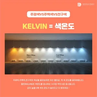 주광색 주백색 차이 비교 차이점_19