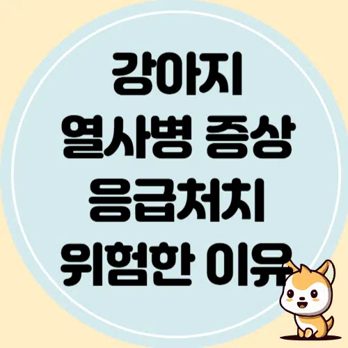 강아지 열사병 증상과 응급처치, 위험한 이유
