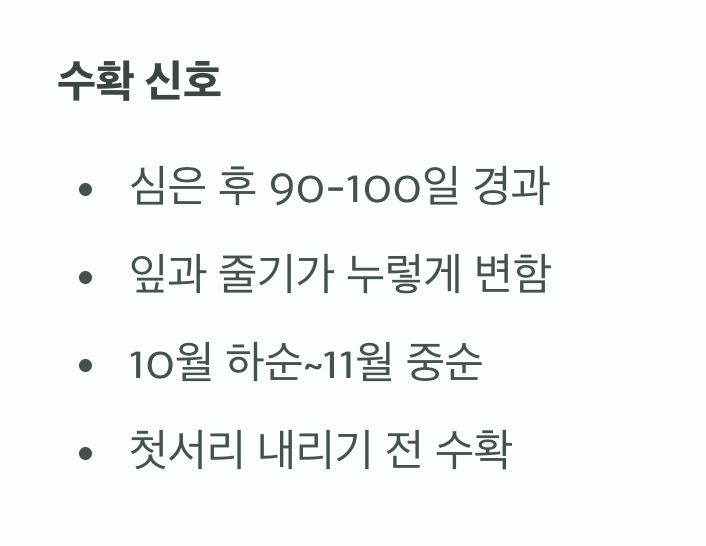 수확의 기쁨&amp;#44; 서리가 내리기 전까지