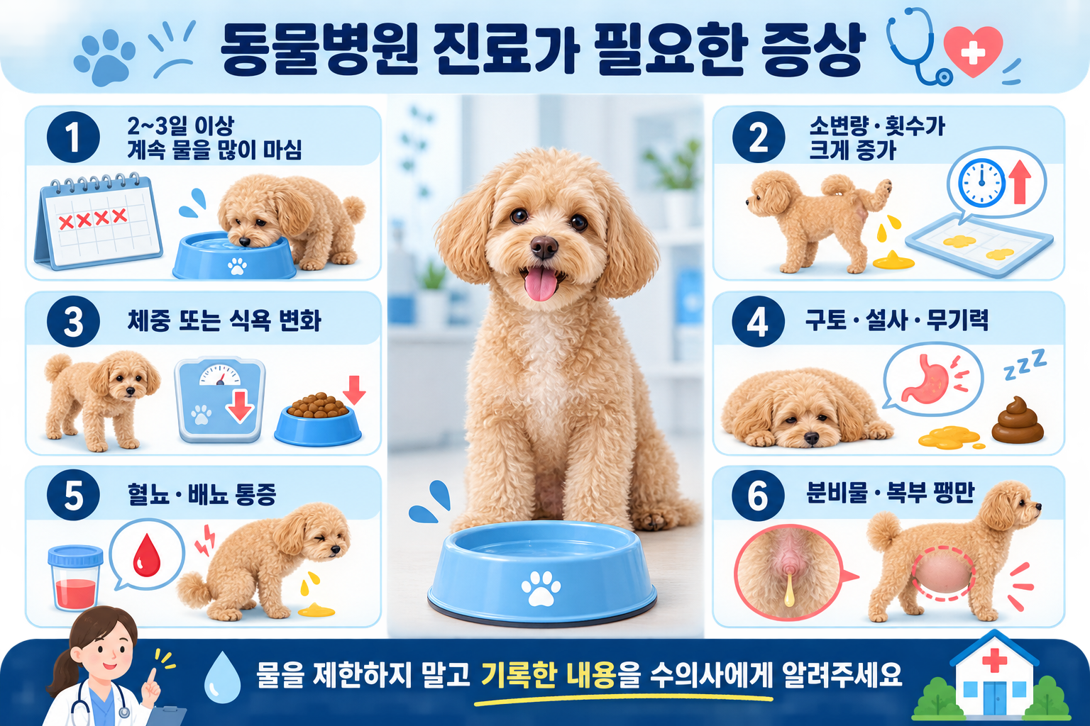 강아지가 물을 많이 마실 때 동물병원 진료가 필요한 주요 증상 6가지