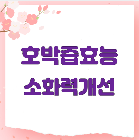 호박즙효능 소화력개선