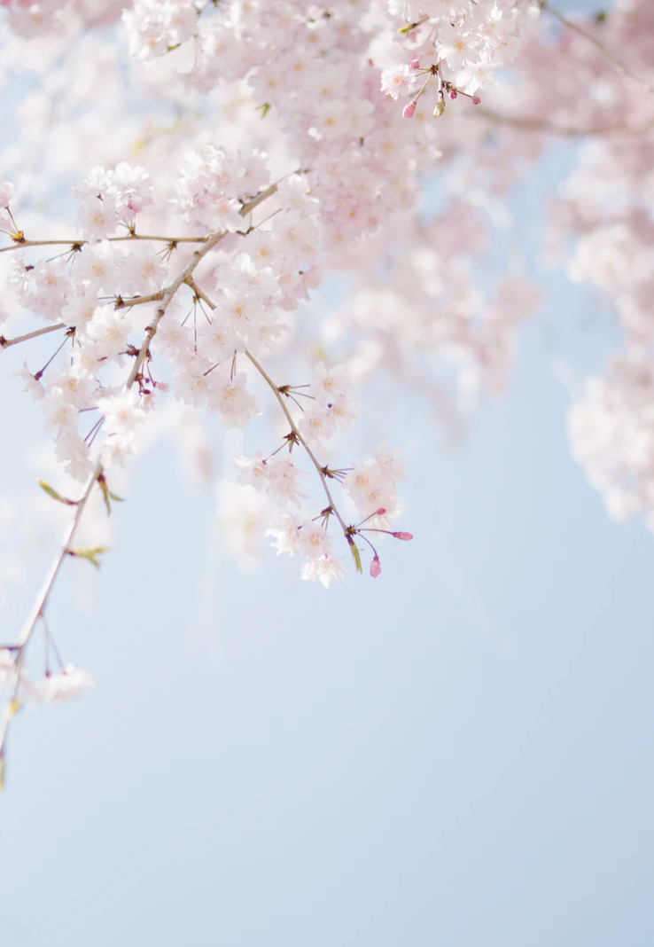 봄철유행하는감염병들 예방및대처법