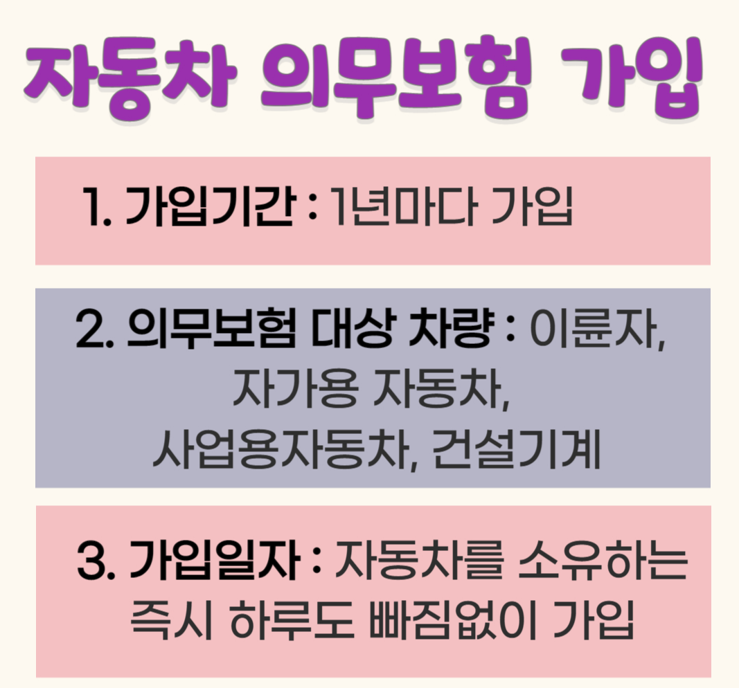 자동차 보험 내용