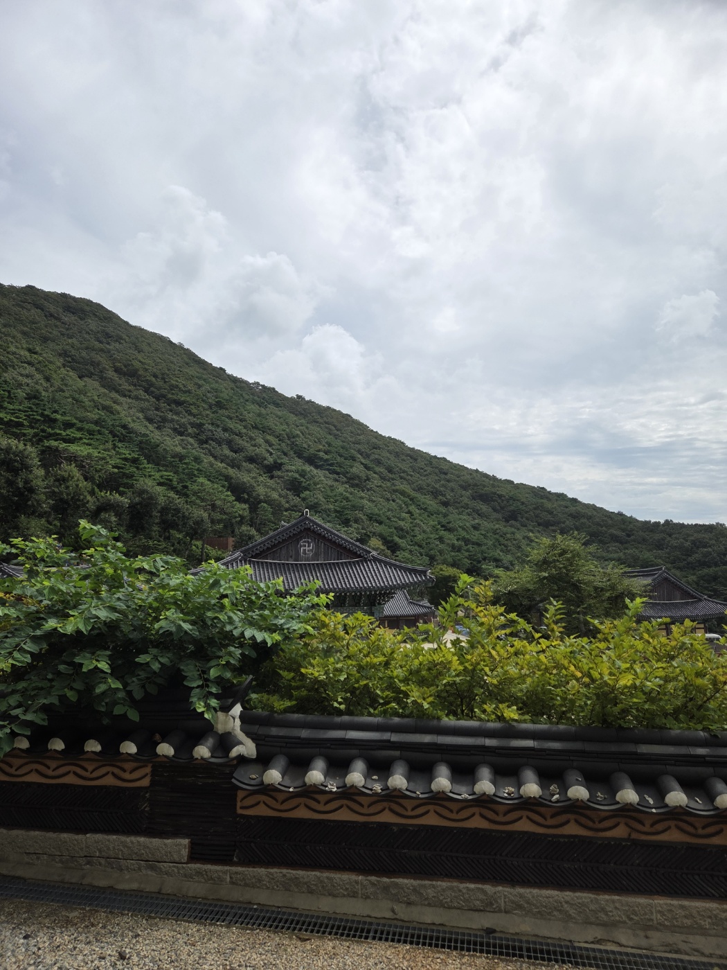 강화도 1박2일 효도여행