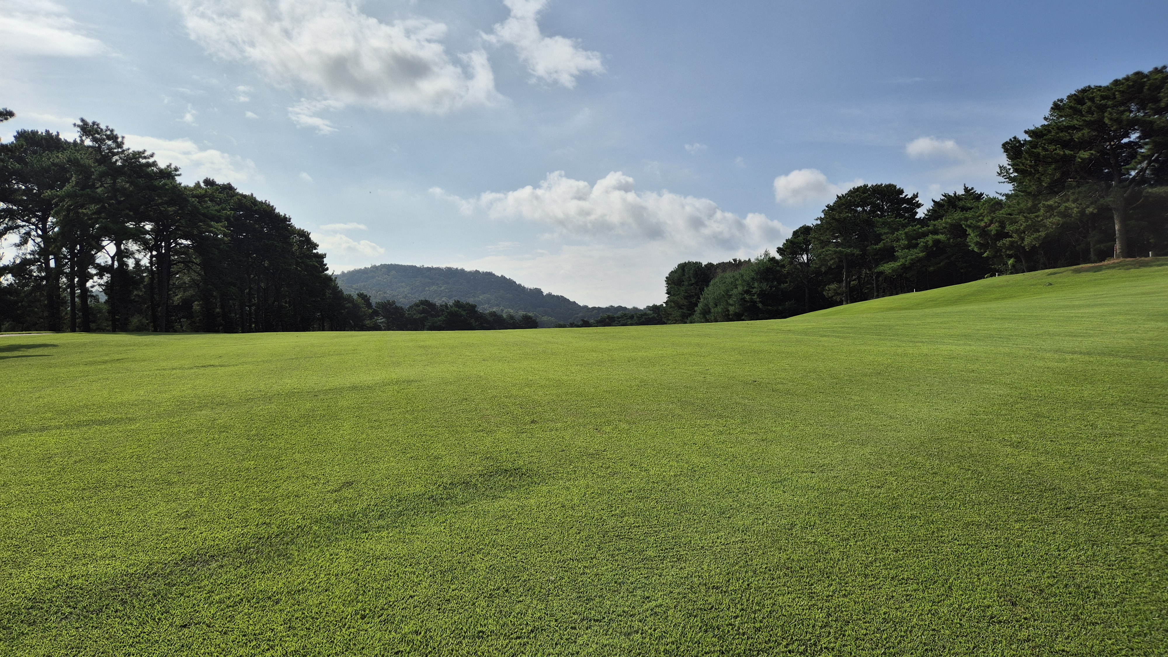 도고cc 코스 사진 및 공략 정보