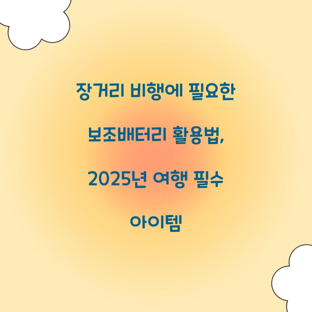 장거리 비행에 필요한 보조배터리 활용법