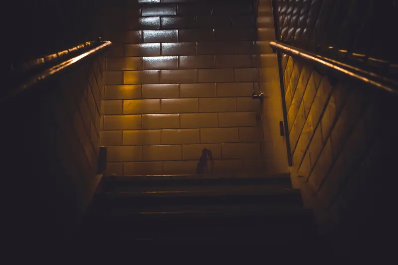 미성년자 약취 유인 뜻