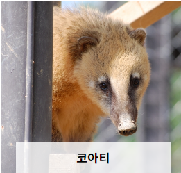 전주동물원