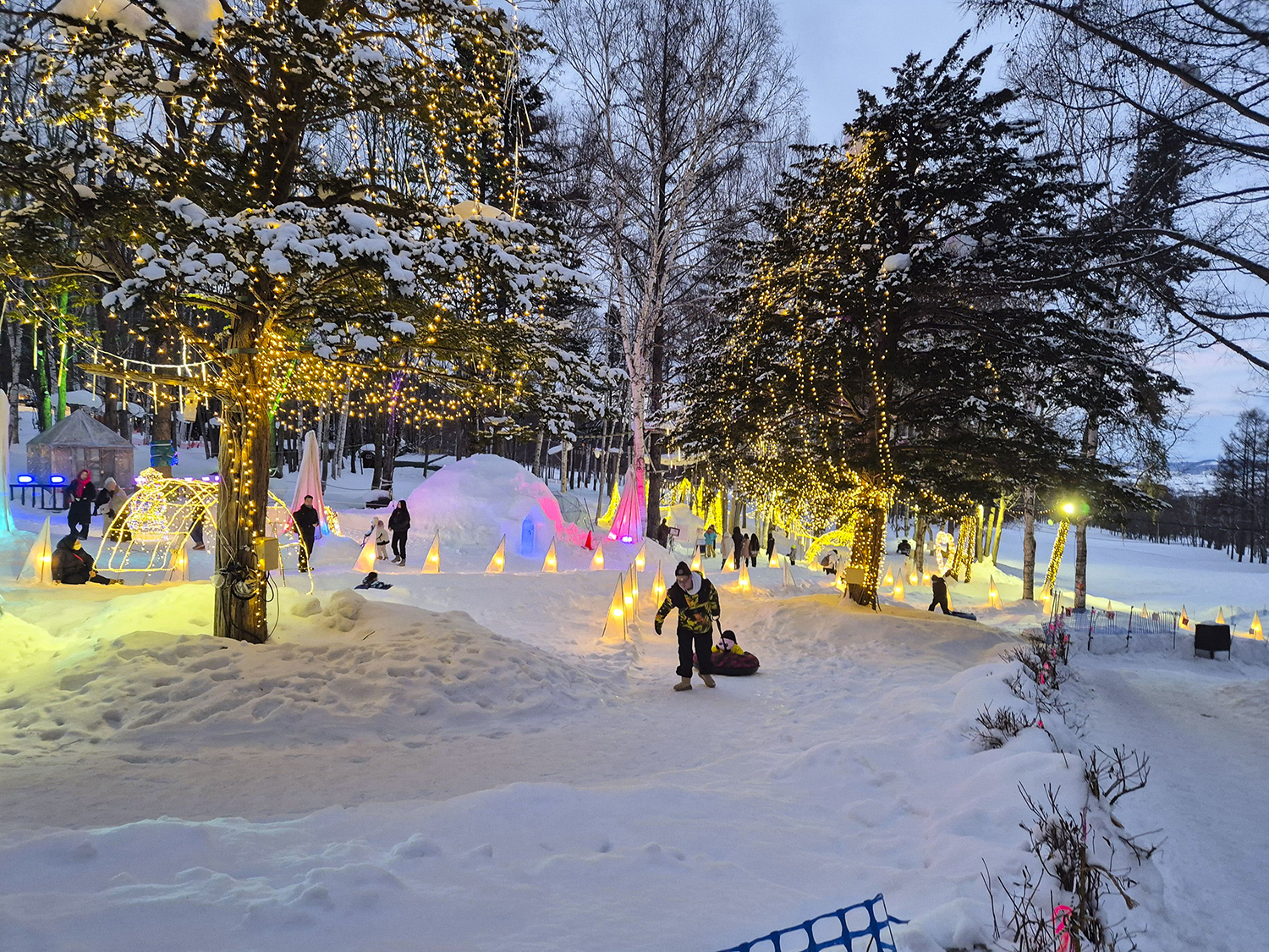 닝구르테라스 액티비니 중 하나&amp;#44; 썰매 3