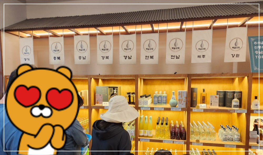 우리나라지역대표술