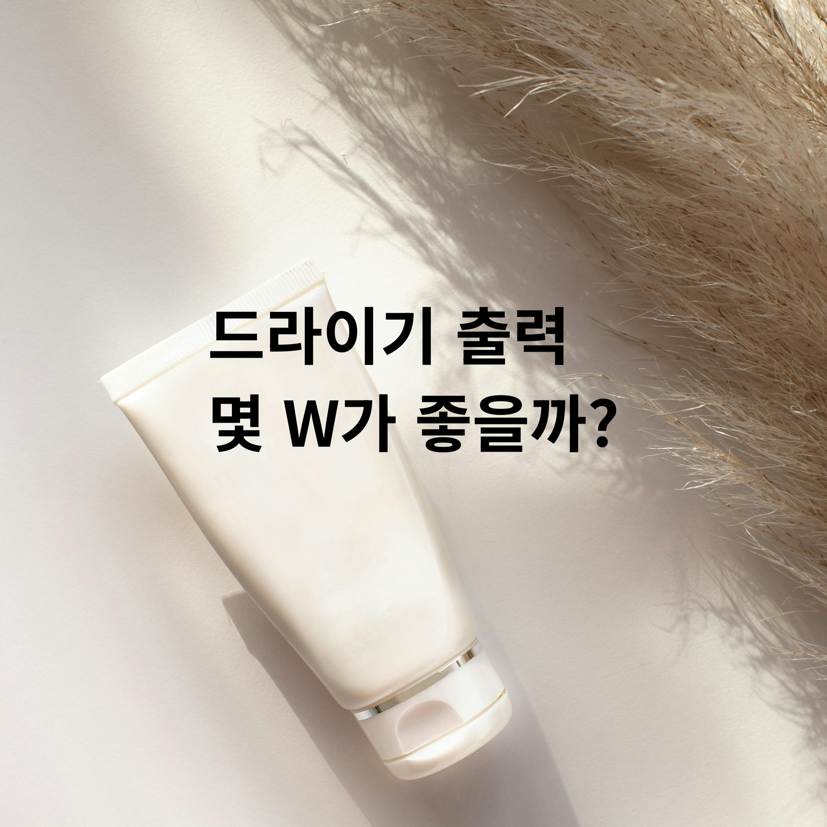 원룸 자취 드라이기 출력 1500W 2000W 차이 비교