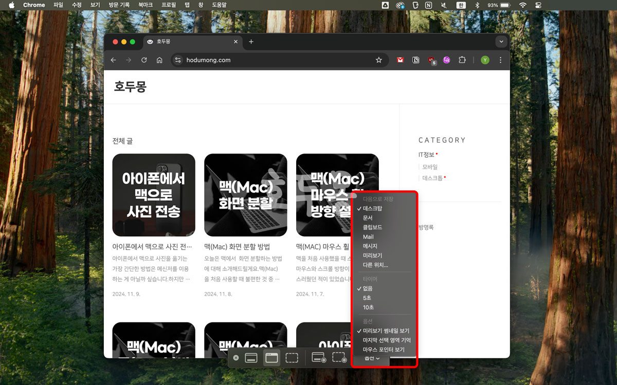 옵션 선택