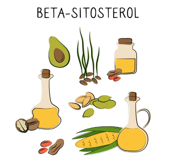 쏘팔메토 베타 시토스테롤 전립선 건강 전립선비대증 야뇨 잔뇨 전립선암 영양제 보충제 건강기능식품