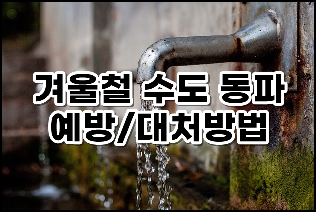 수도꼭지동파