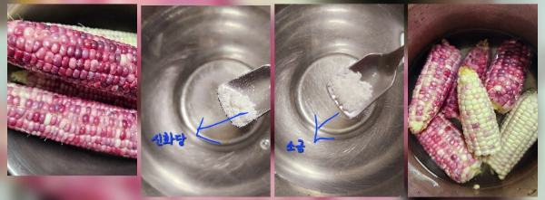 옥수수 삶는 과정