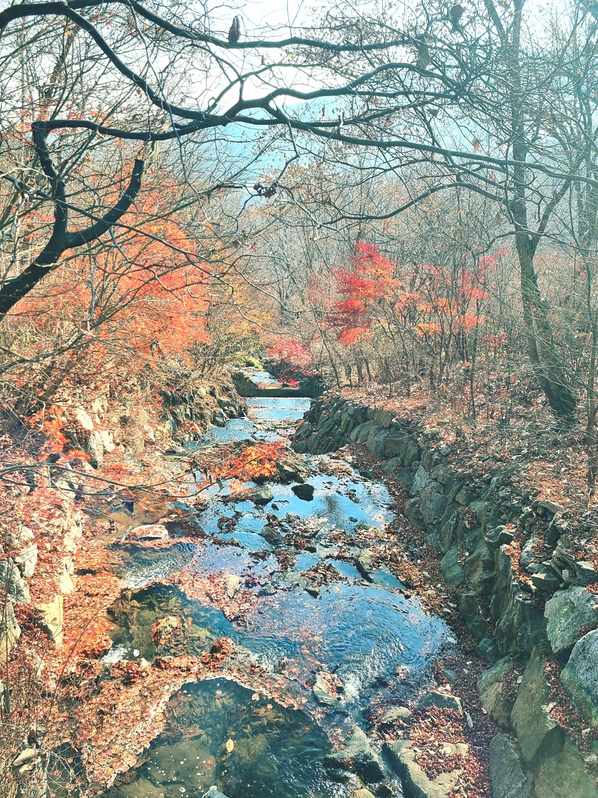 경기도 광주 곤지암 화담숲 단풍시즌, 가을 풍경 퍼레이드와 주변 맛집