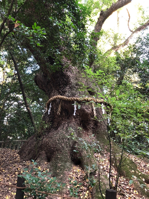 나고야 여행 추천 아쓰다 신궁
