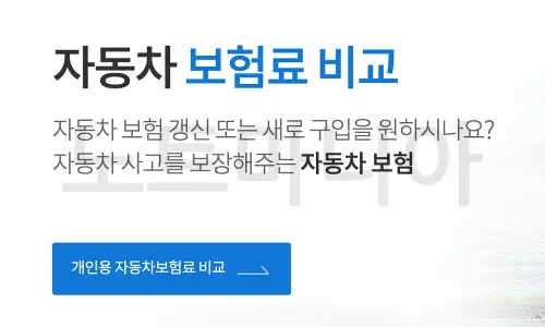 자동차보험_자상자손차이