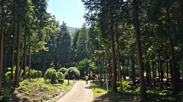 보령 무궁화수목원