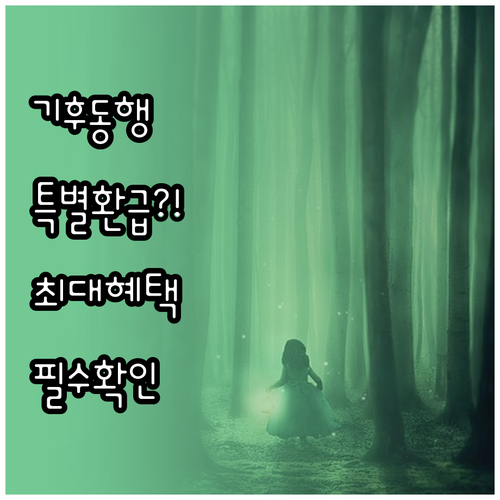 기후동행카드 2026년 특별 환급과 ..