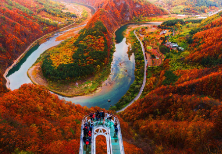 &amp;#39;화담숲&amp;#39;-단풍
