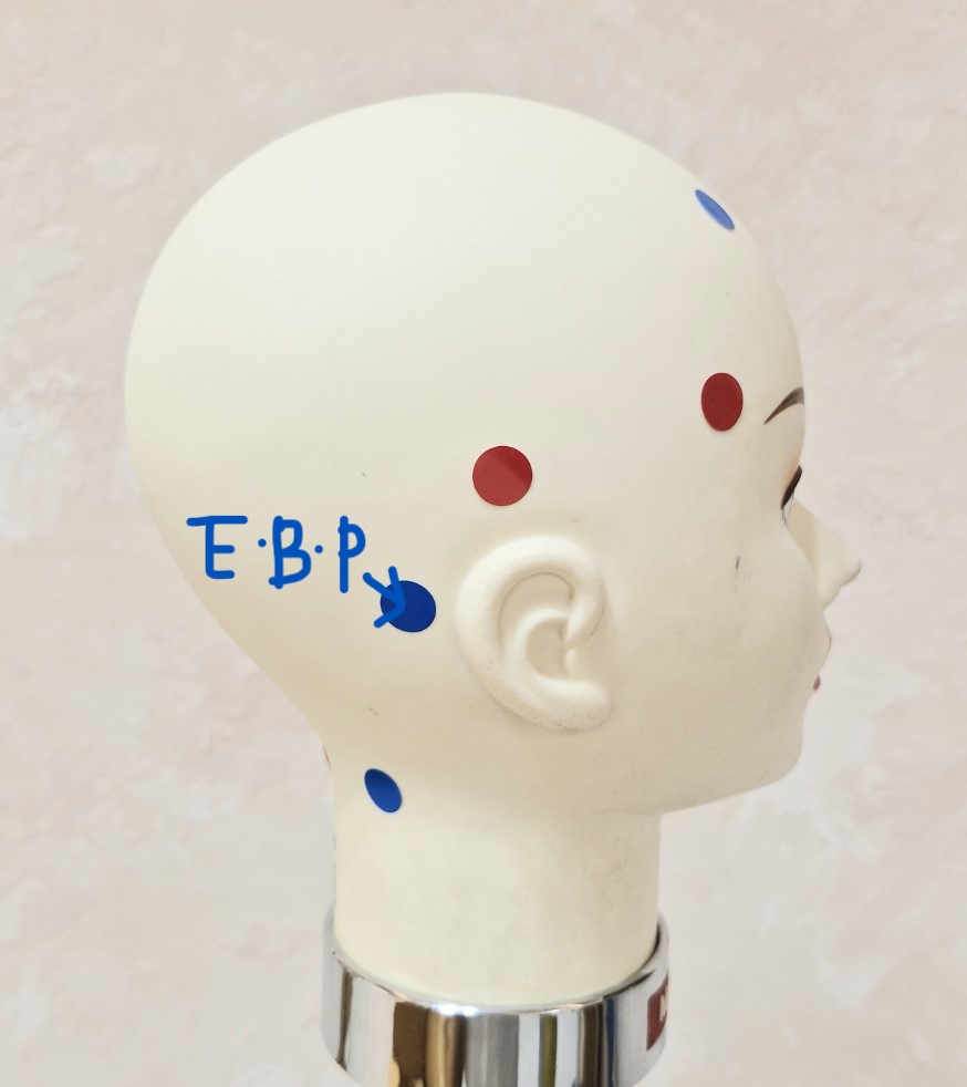 이어 백 포인트