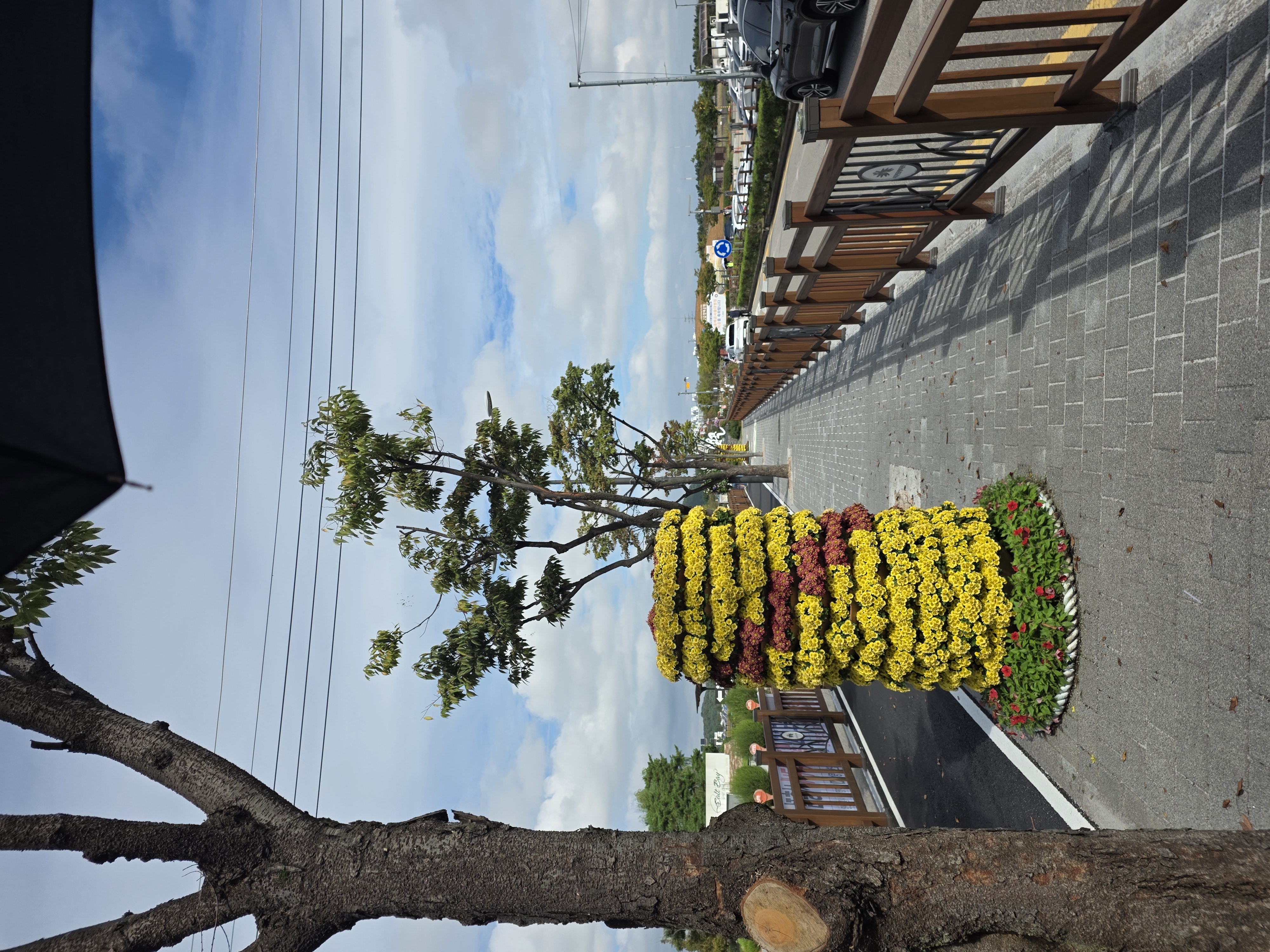 갯골생태공원 in 시흥