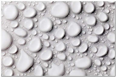 화장실타일 청소하는 법 벽타일바닥타일