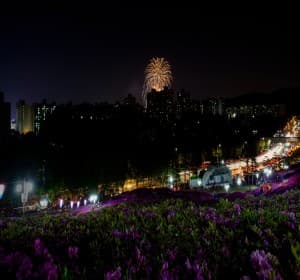 철쭉이 흐드러지는 봄날, 2025 군포 철쭉축제