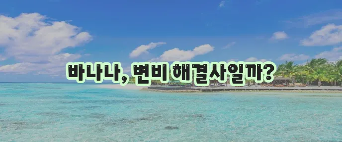 바나나 신화 변비 해소 효능 정말일까?